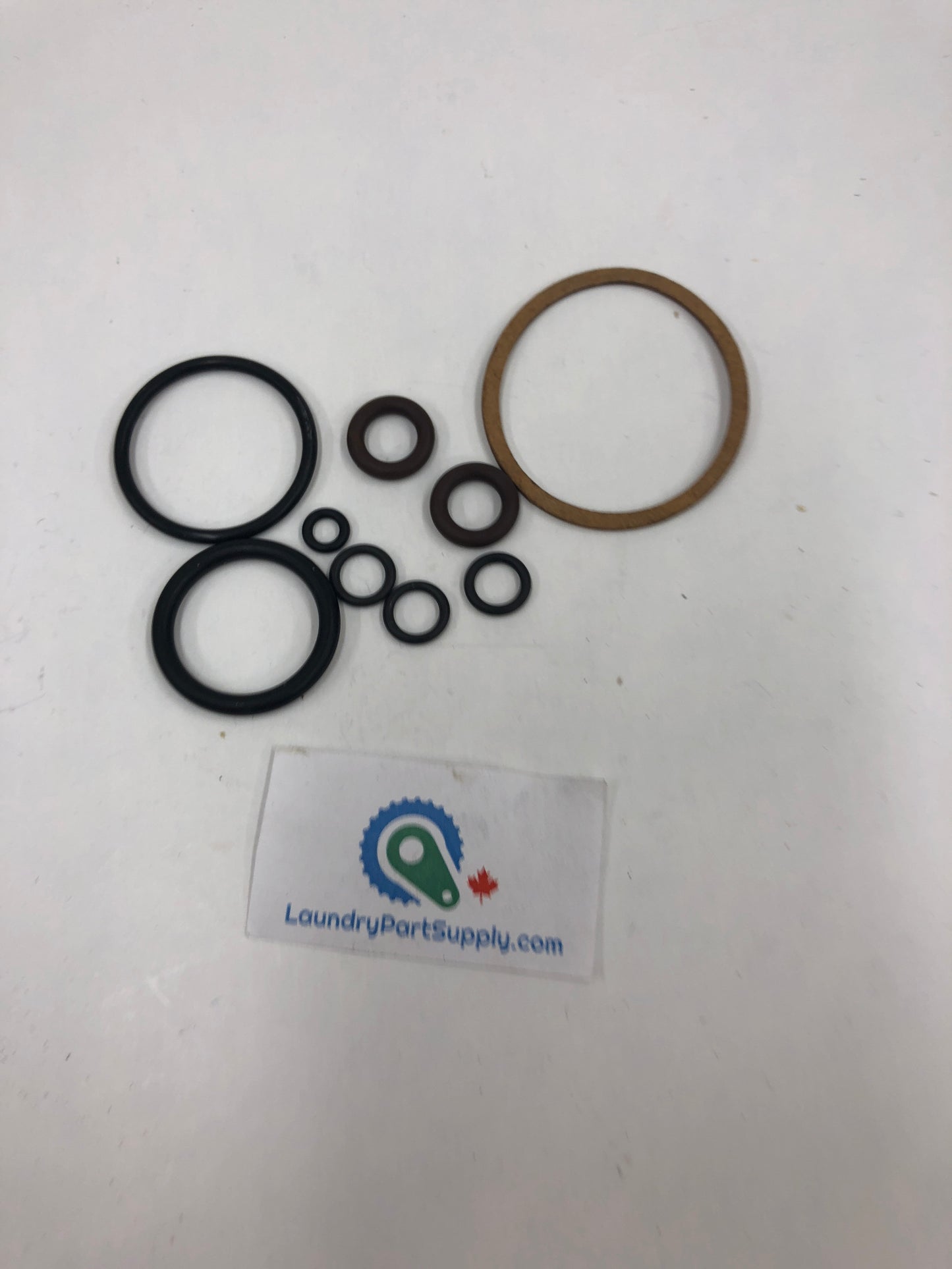 Rebuild Kit for 1" VALVAUT Valve