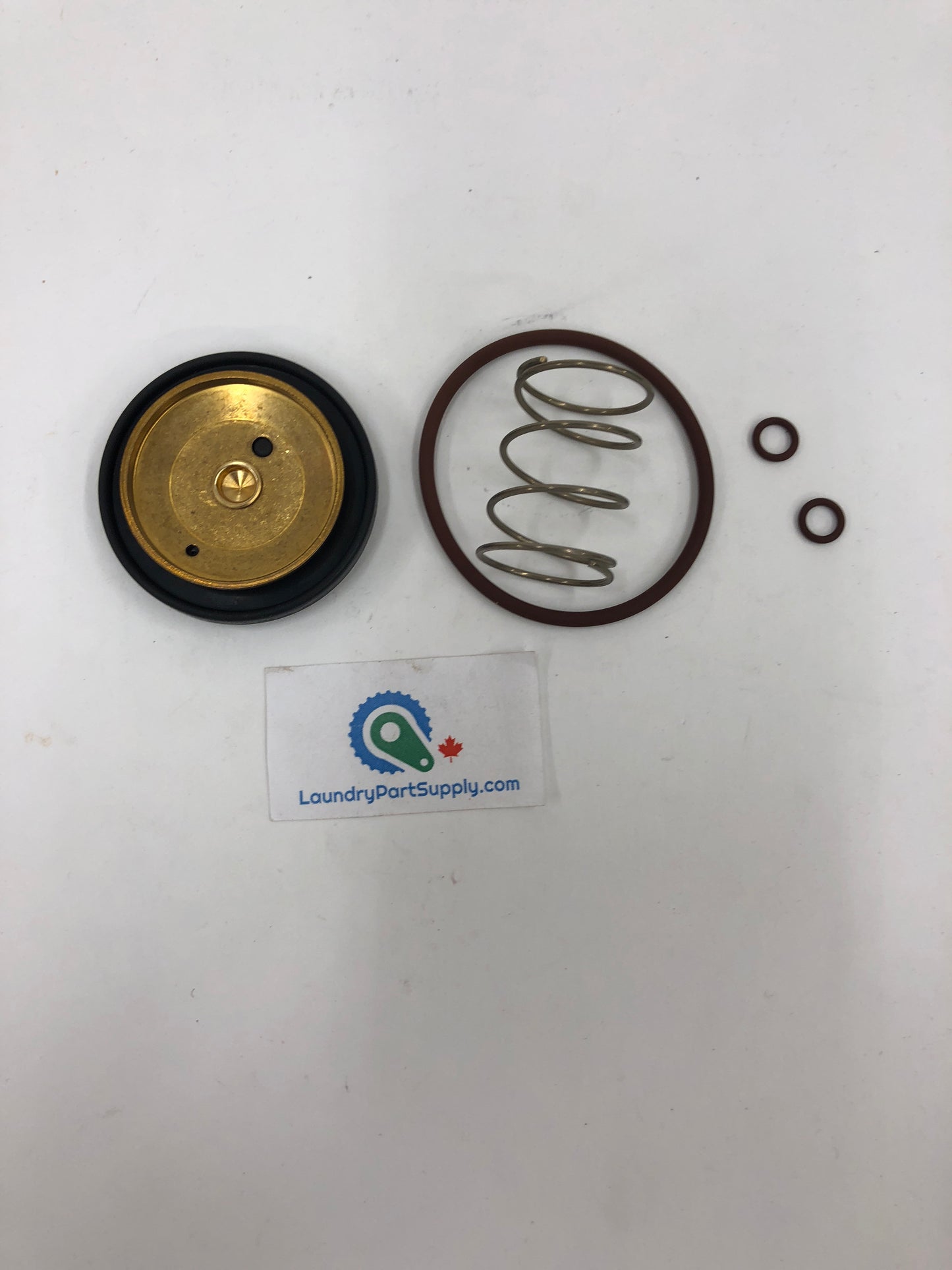 MAIN DIAPHRAM REP. KIT,BURK #5281.