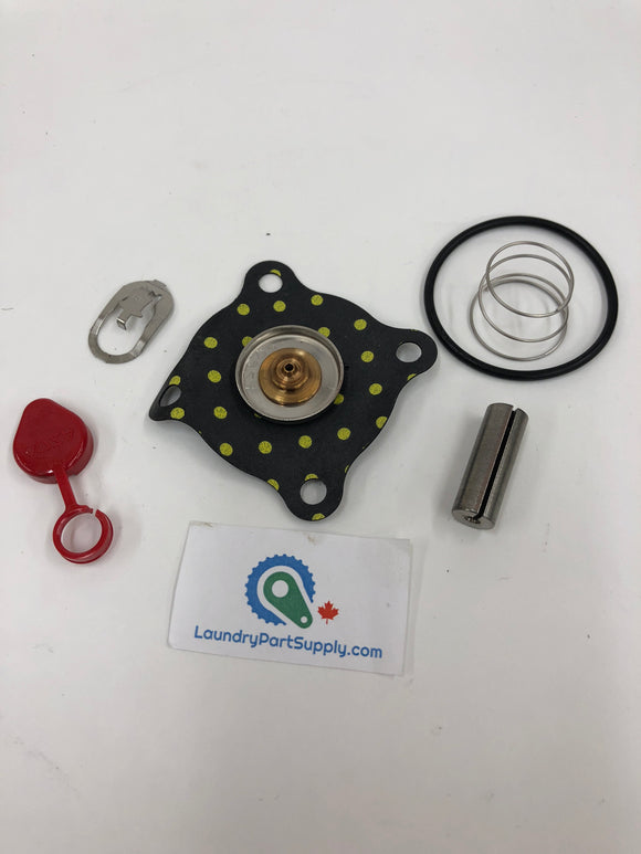 Asco Repair Kits; for XPN4-008 (Asco # X
